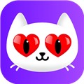 最近韩国高清免费观看视频大全最新版