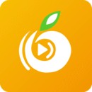 桃花直播在线下载