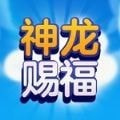 神龙赐福_logo